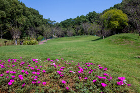 岳阳市南湖公园