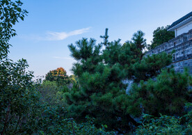 岳阳楼景区