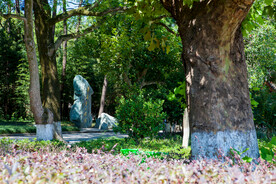 岳阳君山岛景区