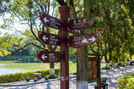 岳阳君山岛景区