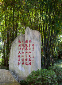 岳阳君山岛景区