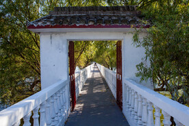 岳阳君山岛景区 汛期游船进出