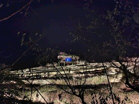 风雨夜