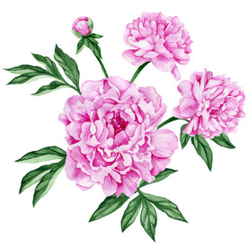 数码印花水彩花抽象花卉水彩花