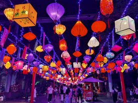 彩灯灯笼灯会