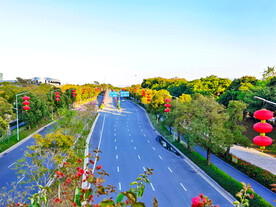 城市高速公路街道