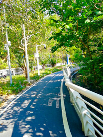 海边栈道小路绿道