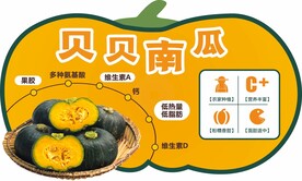贝贝南瓜异形文宣