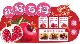 软籽石榴异形文宣