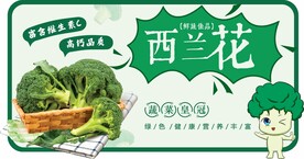 西兰花果蔬文宣