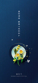 重阳节海报