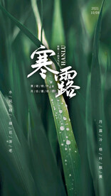 寒露海报
