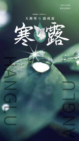 寒露海报