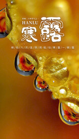 寒露海报