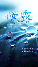 寒露海报