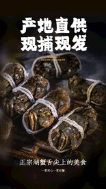 大闸蟹产地直供