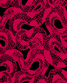 网纹 