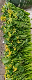 菜心