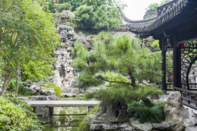 假山园林