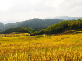 广东