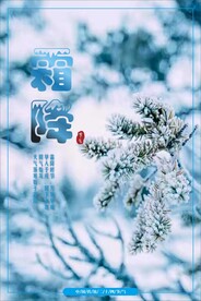 霜降节气海报
