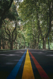 马路