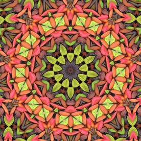 数码印花