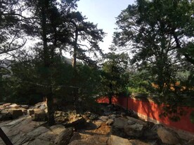 颐和园风景照片