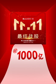 双11狂欢最终战报