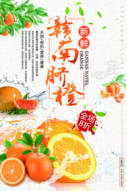 赣南脐橙绿色食品促销海报