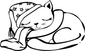 卡通小猫