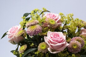 玫瑰花