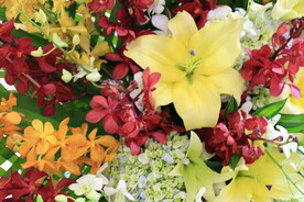 鲜花