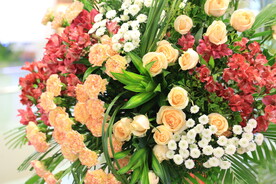 鲜花