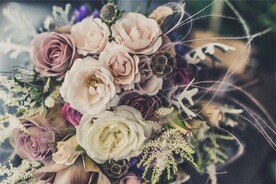 玫瑰花
