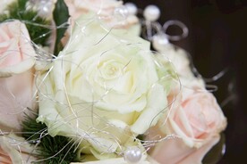 玫瑰花