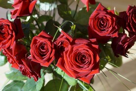 玫瑰花