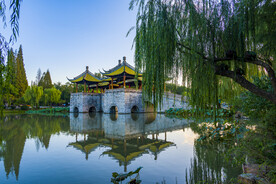 桥的大图