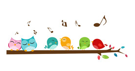 卡通手绘猫头鹰小鸟