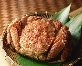 火锅海报           