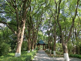 武汉东湖