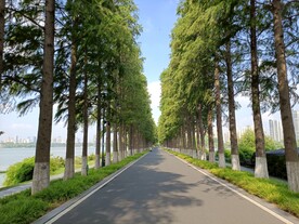 武汉东湖