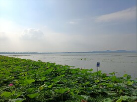 武汉东湖