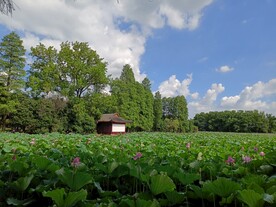 武汉东湖