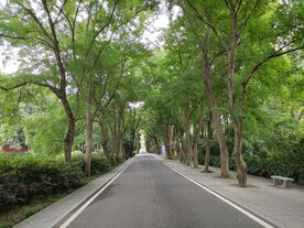 武汉 东湖