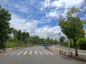 武汉东湖