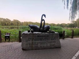 圆明园