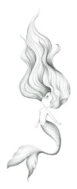 美人鱼 