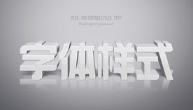 字体样机