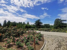 天坛